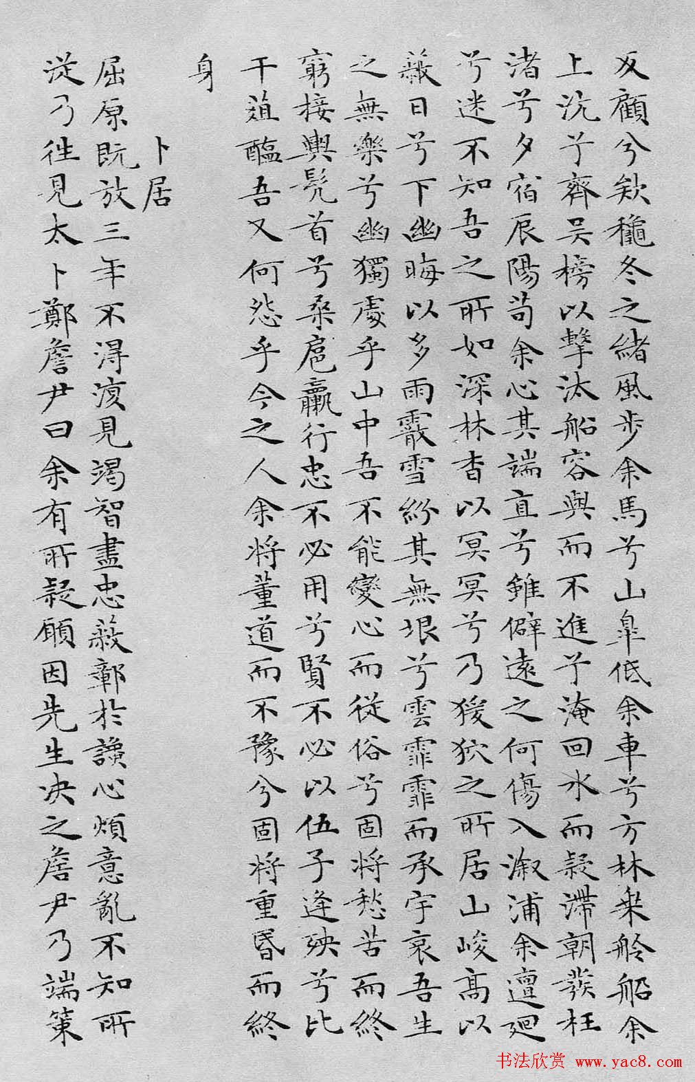 鷨ӬͷСɧ