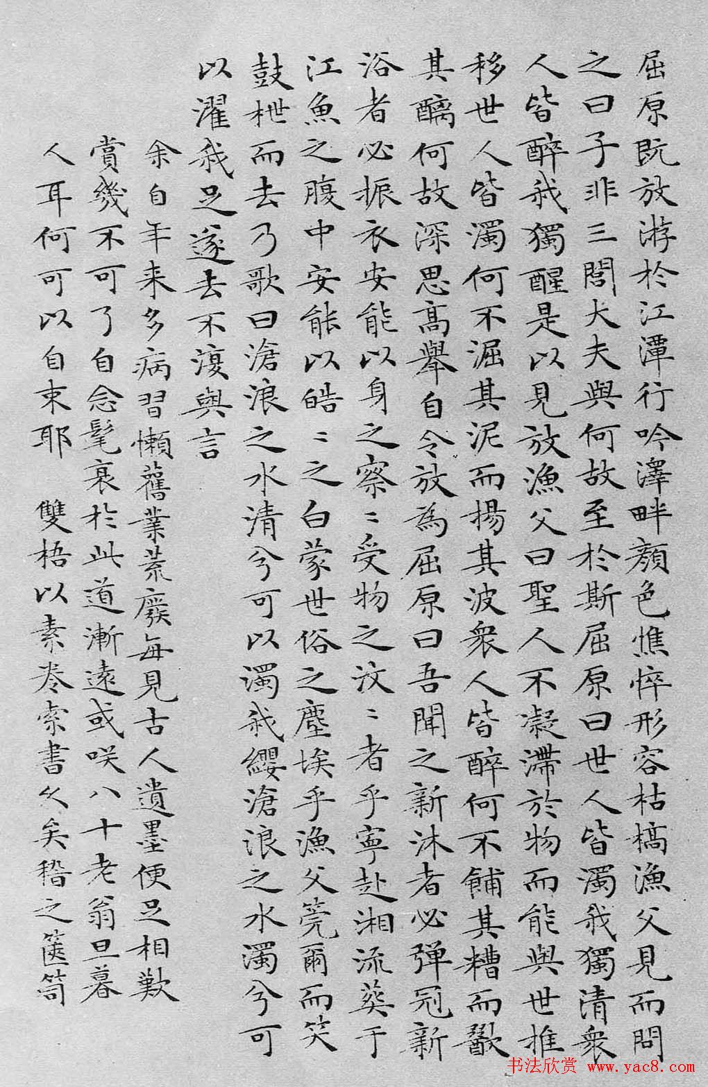 鷨ӬͷСɧ