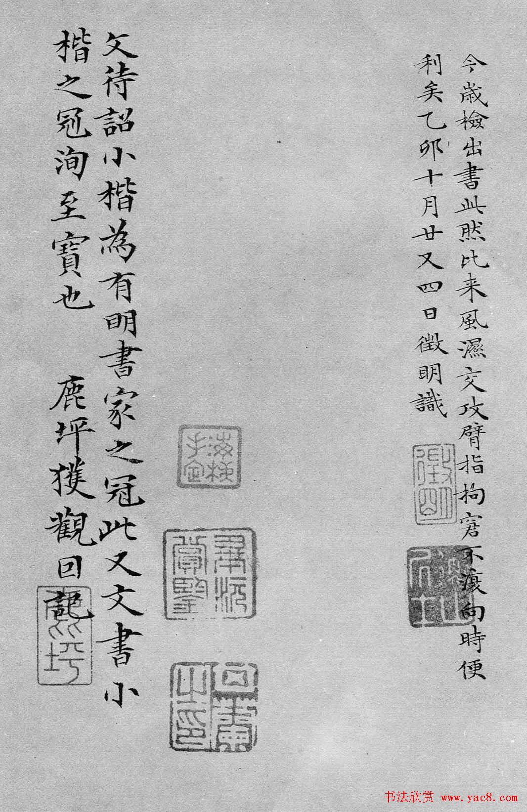 鷨ӬͷСɧ