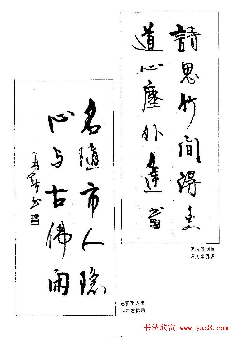 ٴ鷨ƷԶ