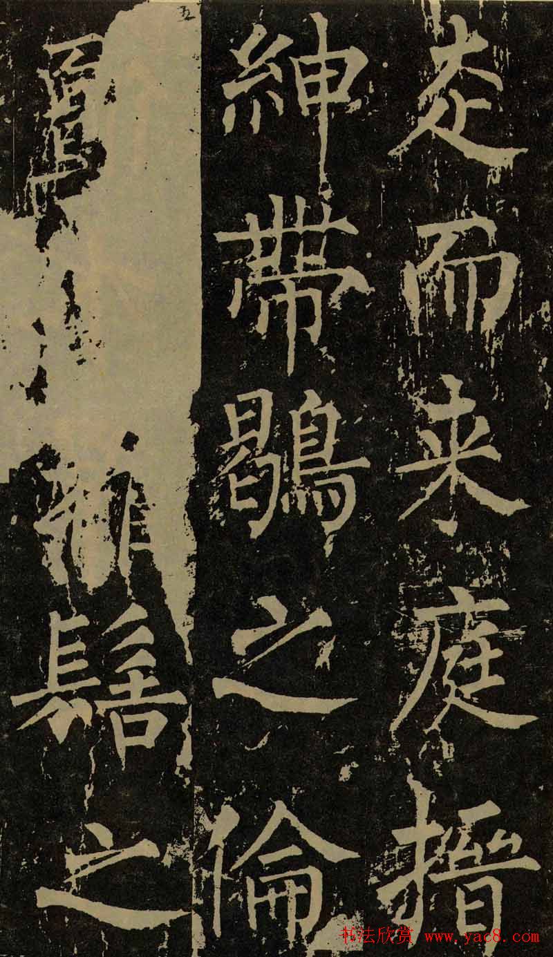 Ȩ鷨߾