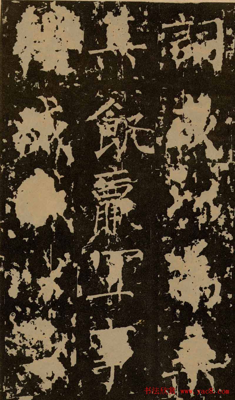 Ȩ鷨߾