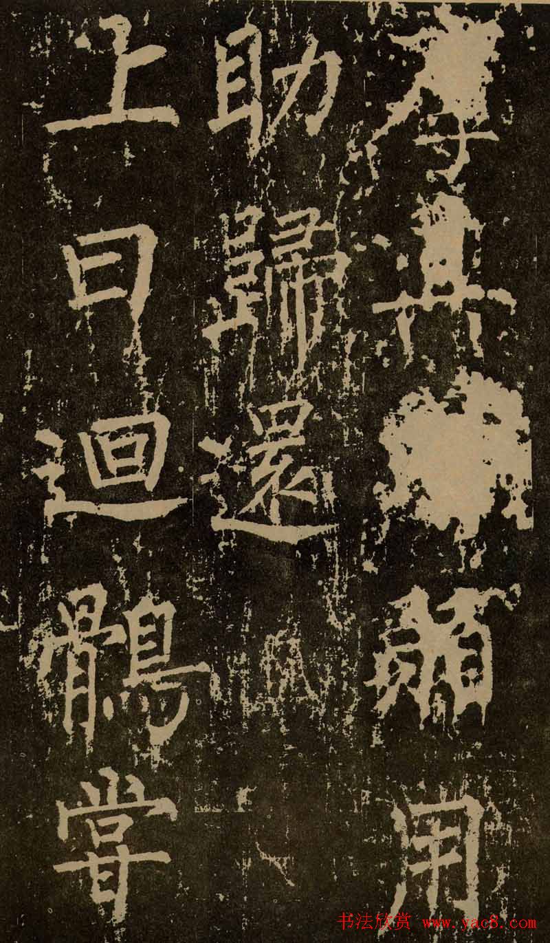 Ȩ鷨߾