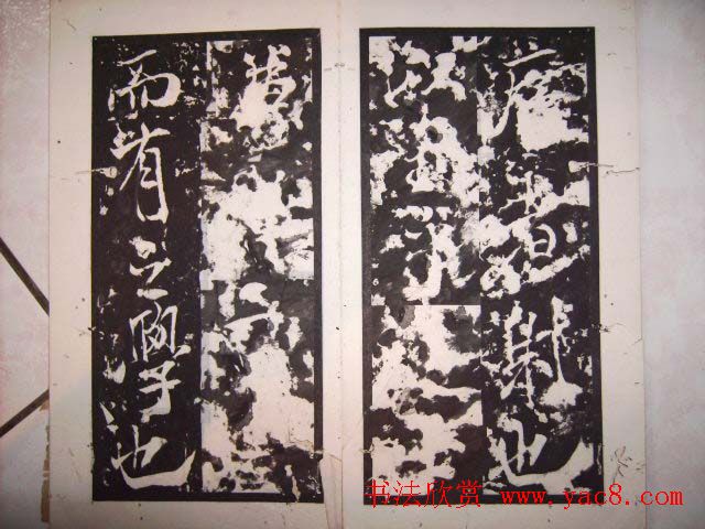 鱮̡ߺѧǡ