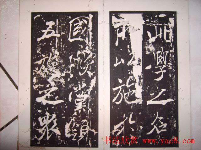 鱮̡ߺѧǡ