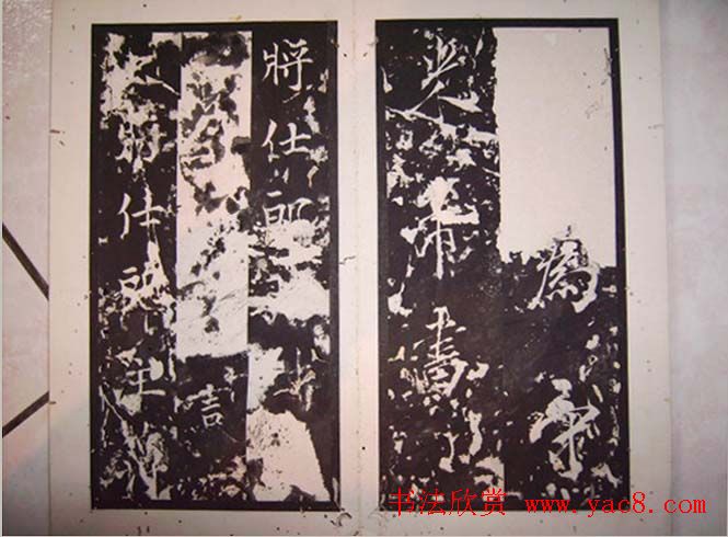 鱮̡ߺѧǡ
