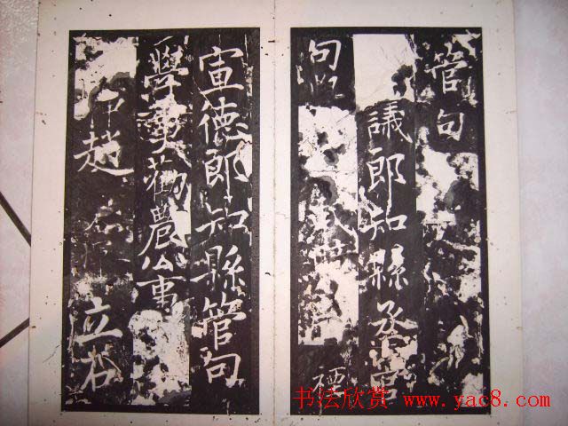 鱮̡ߺѧǡ