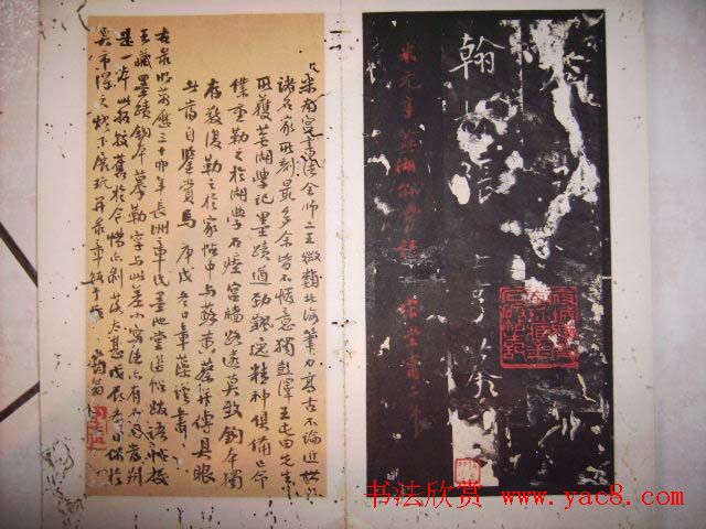 鱮̡ߺѧǡ
