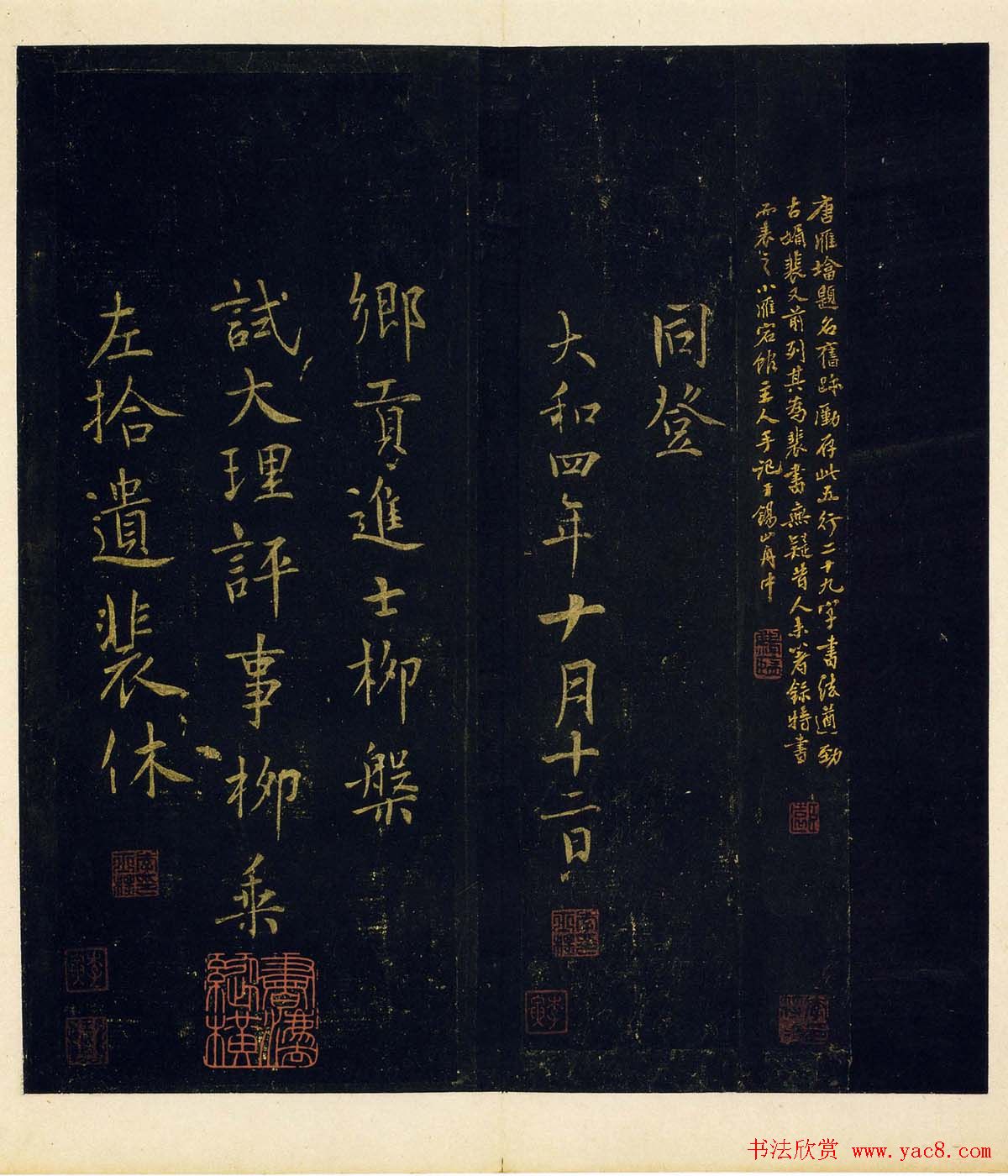 زʥĸʰ