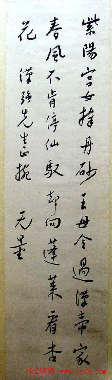 л鷨Ʒ