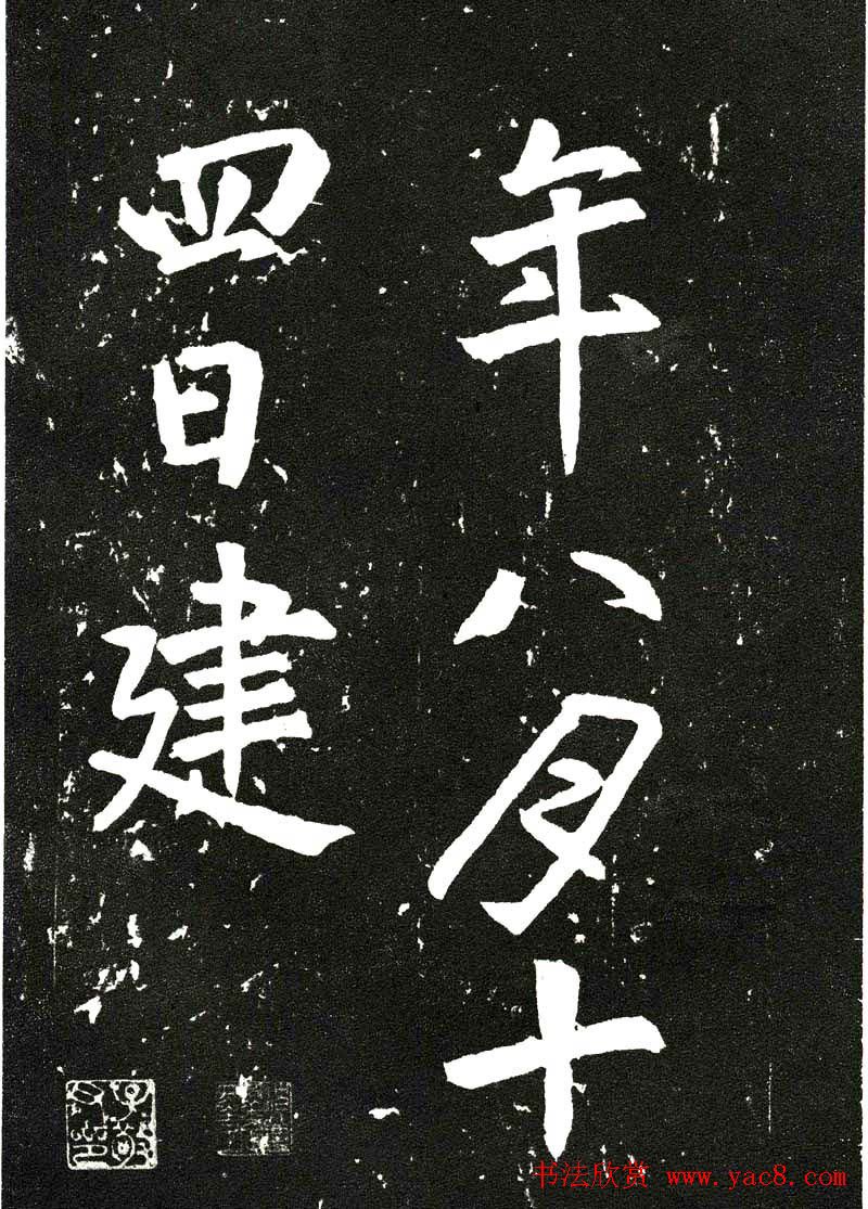 Ŵ鷨ر