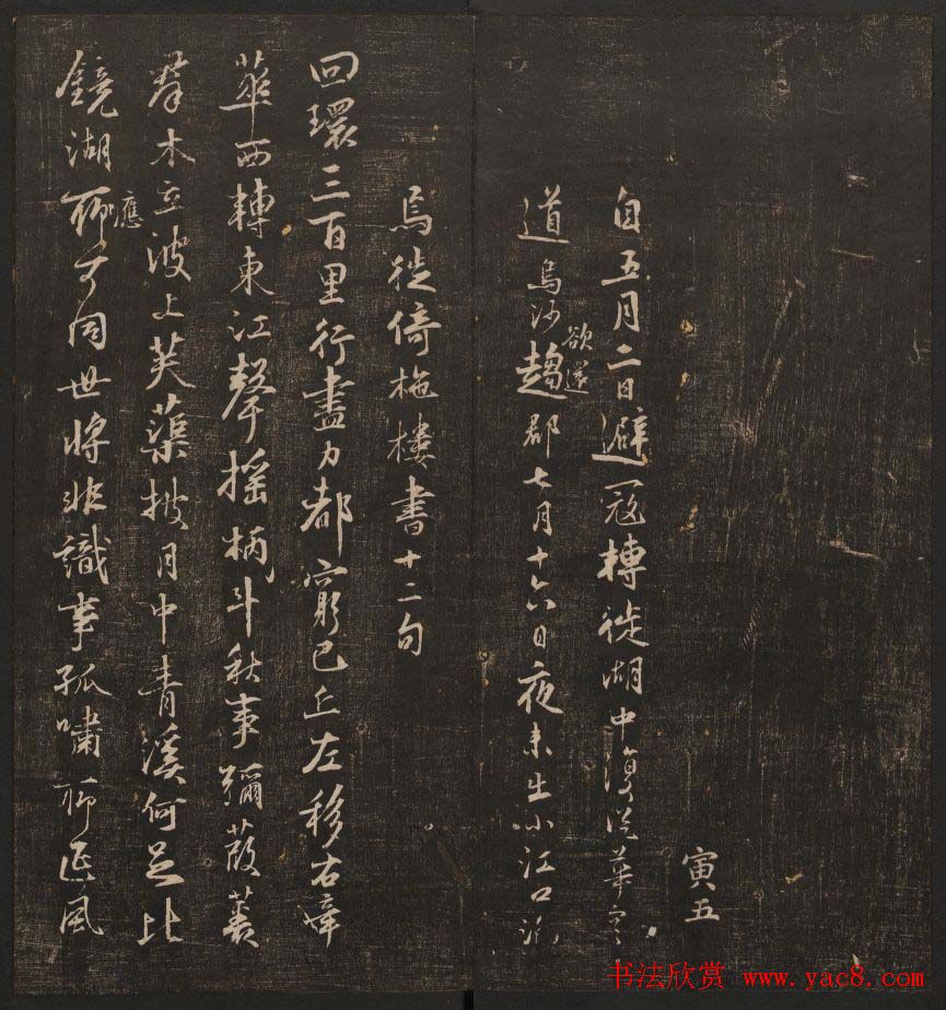 鷨ѵ÷顷