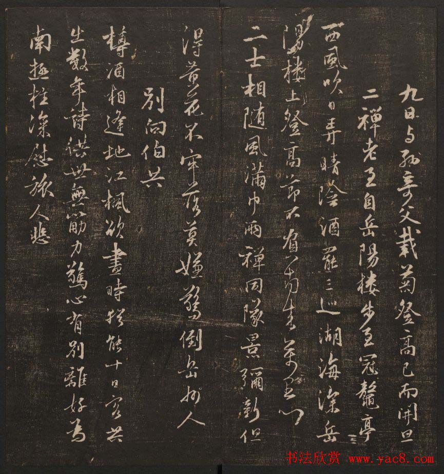 鷨ѵ÷顷
