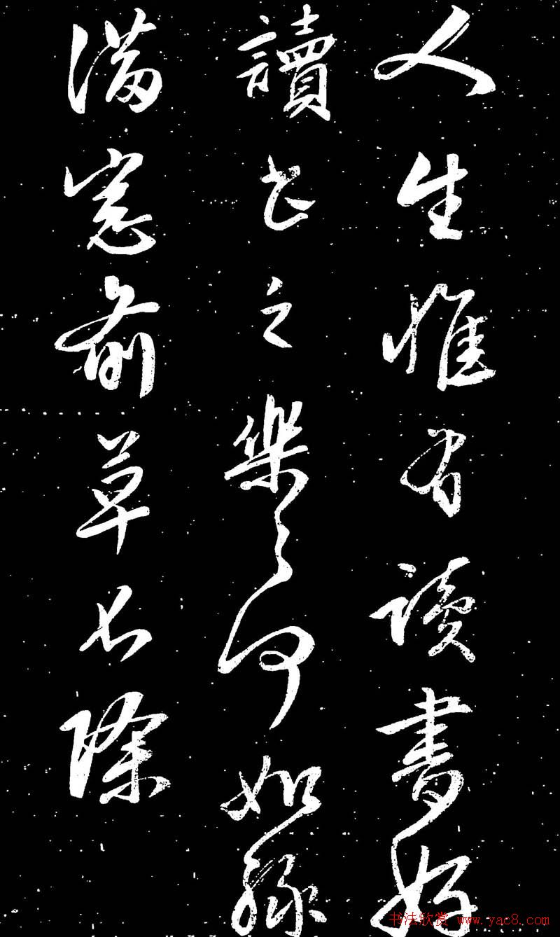 鷨ͼƬʱʫ13P