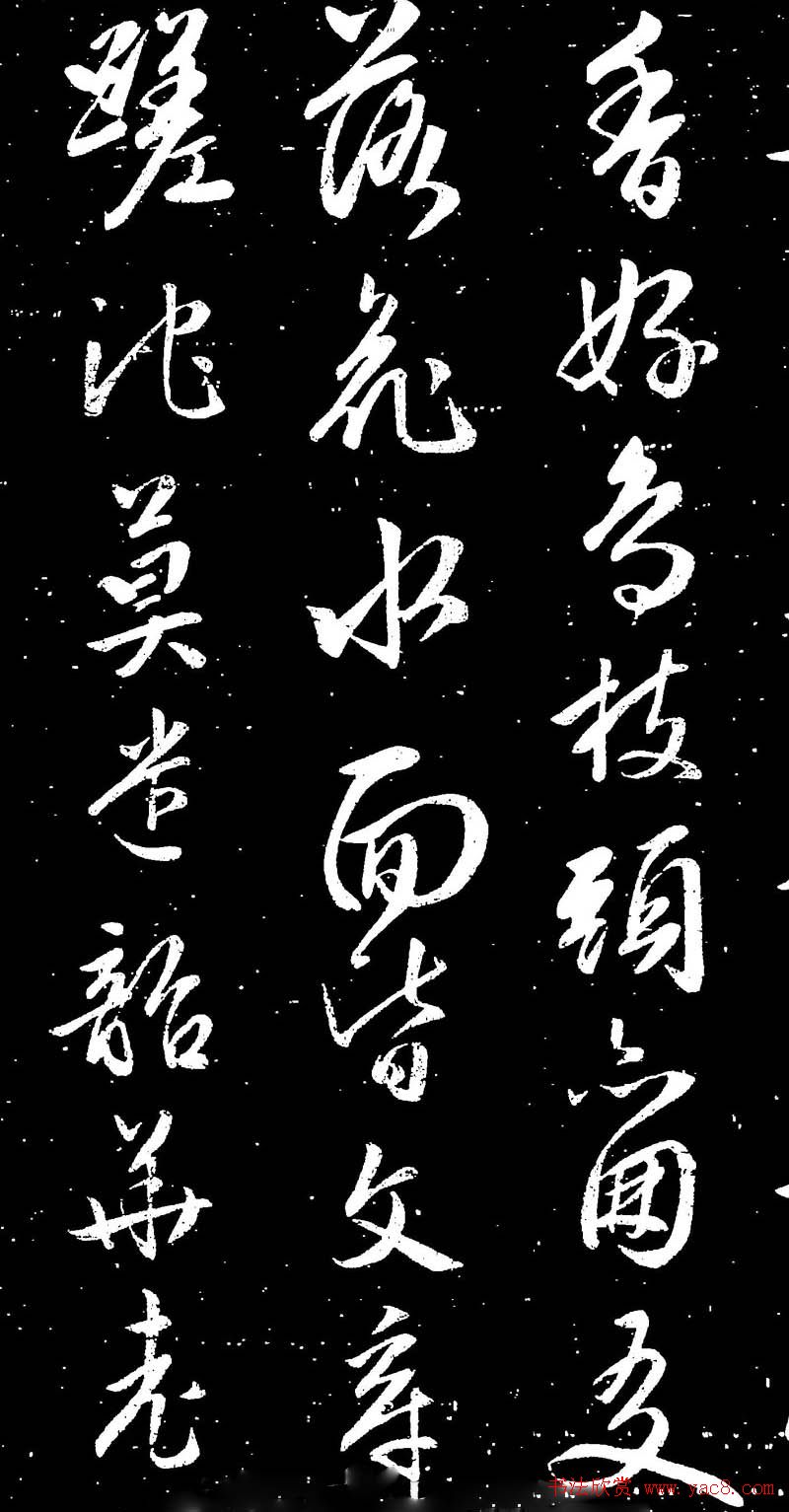 鷨ͼƬʱʫ13P