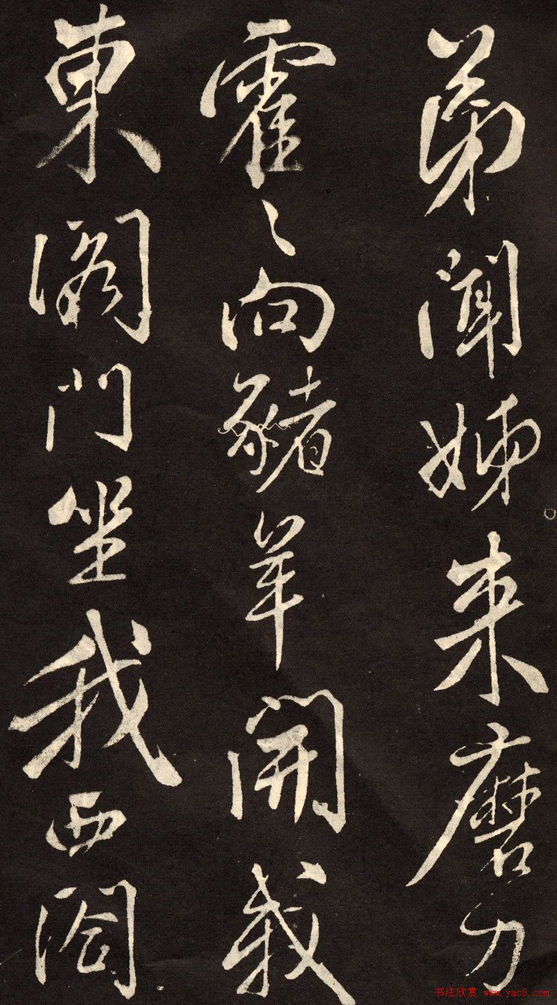 鷨رľʫ