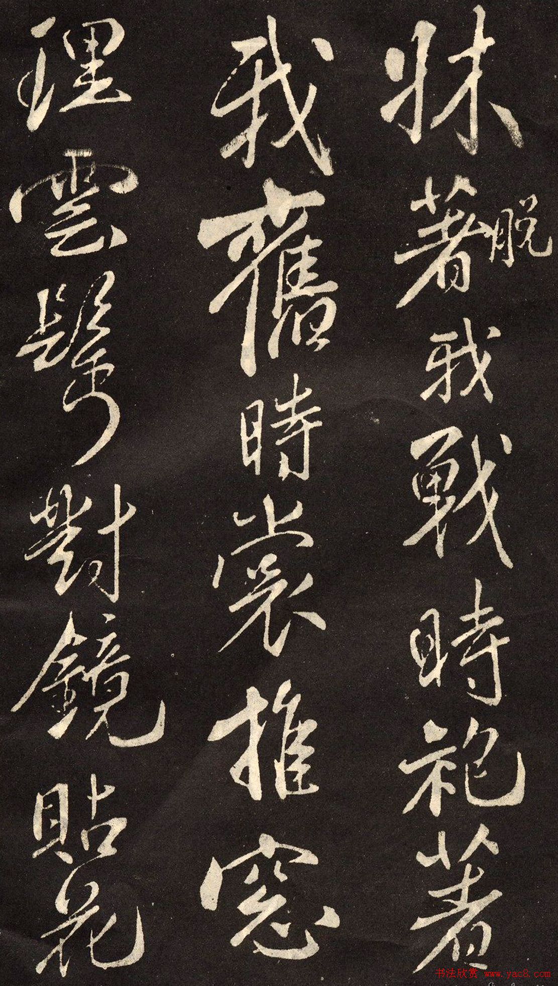 鷨رľʫ