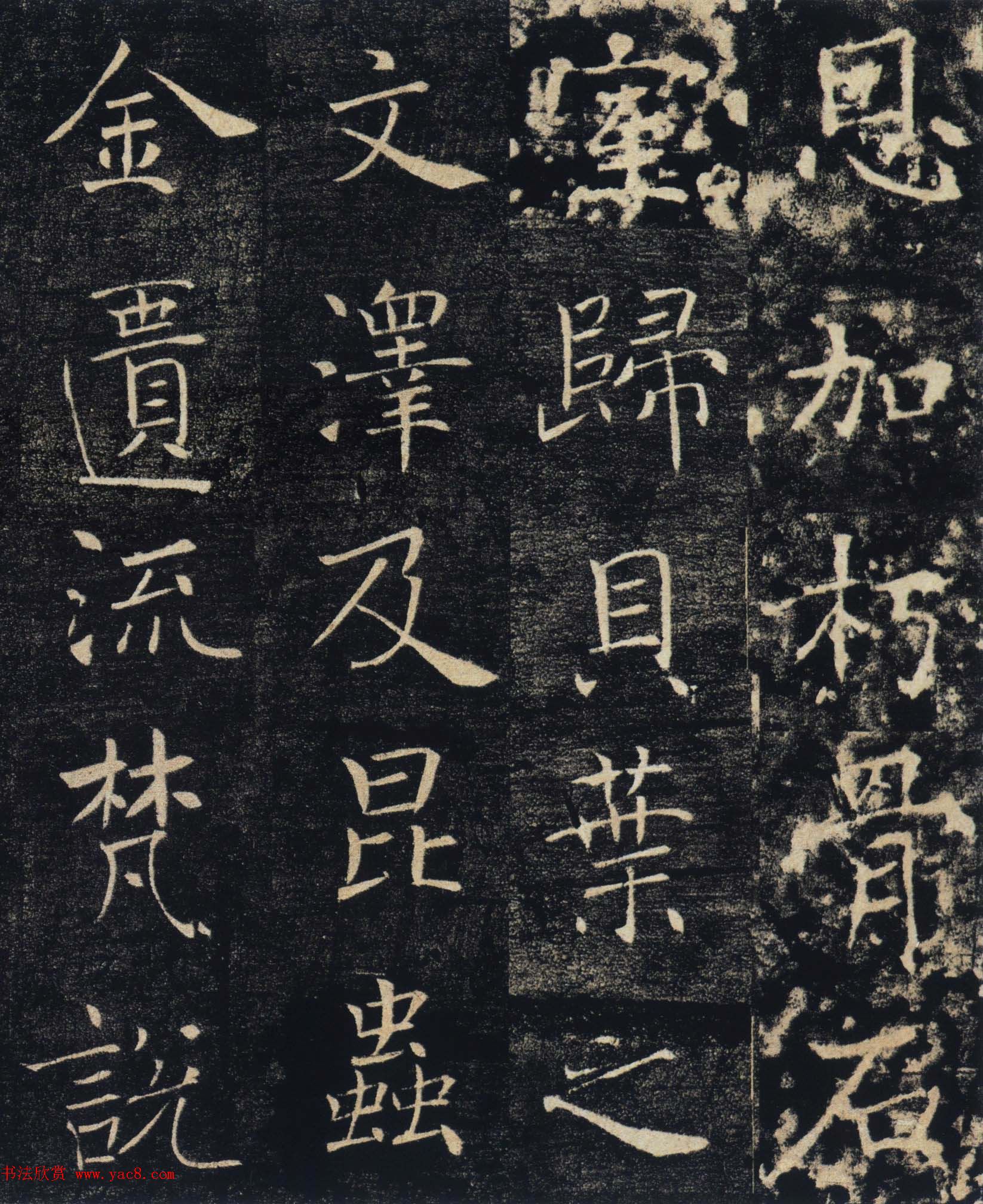 ƻʵʥ̼ǡͼ