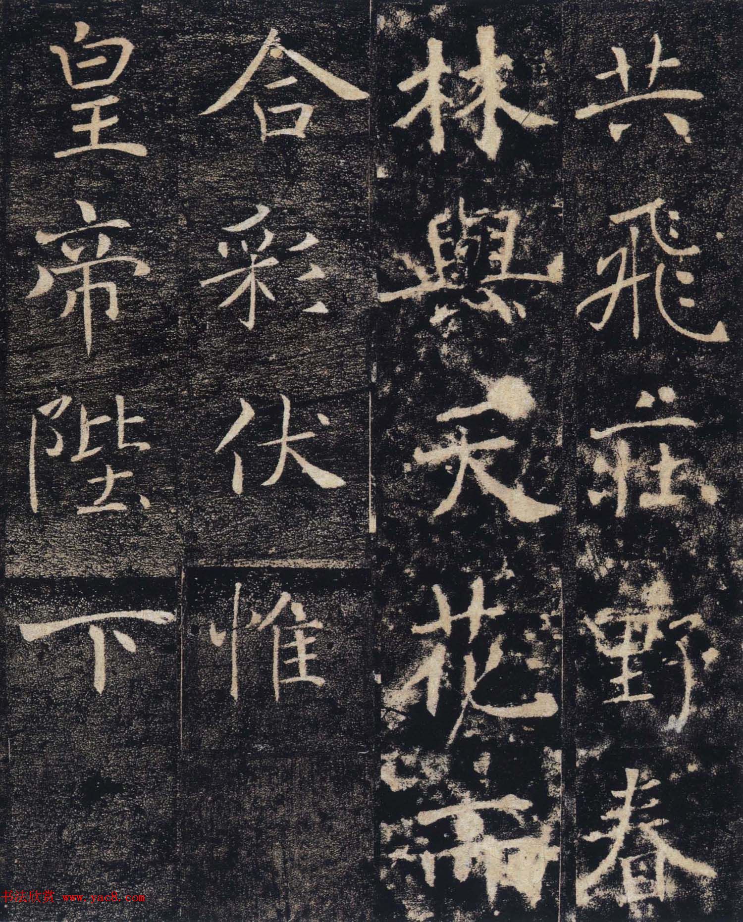ƻʵʥ̼ǡͼ