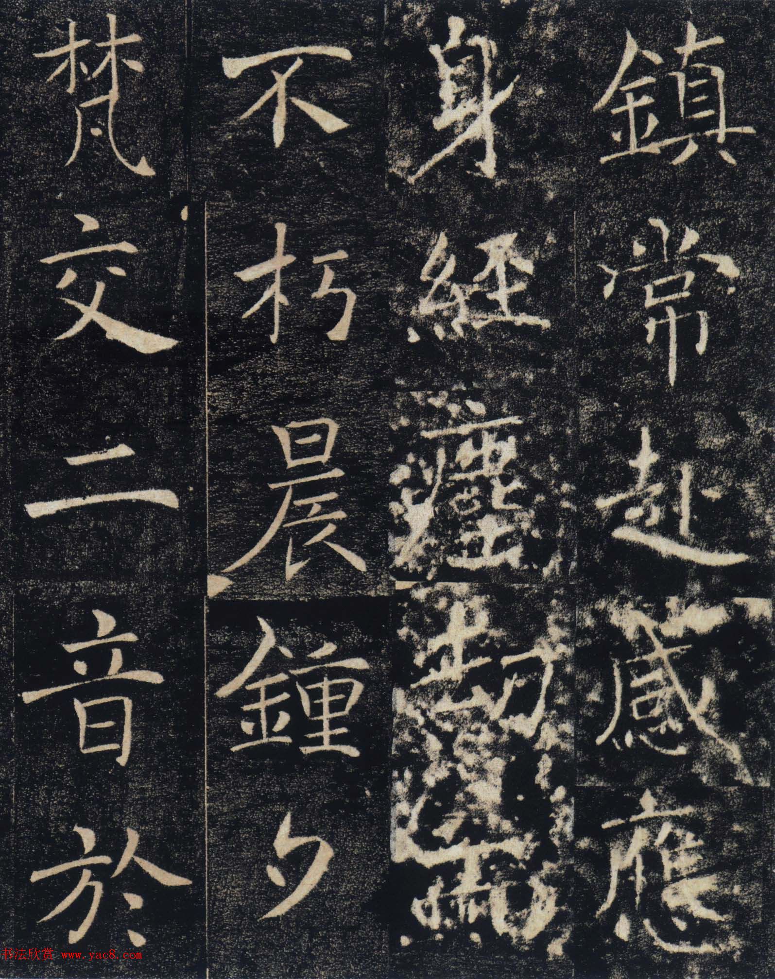 ƻʵʥ̼ǡͼ