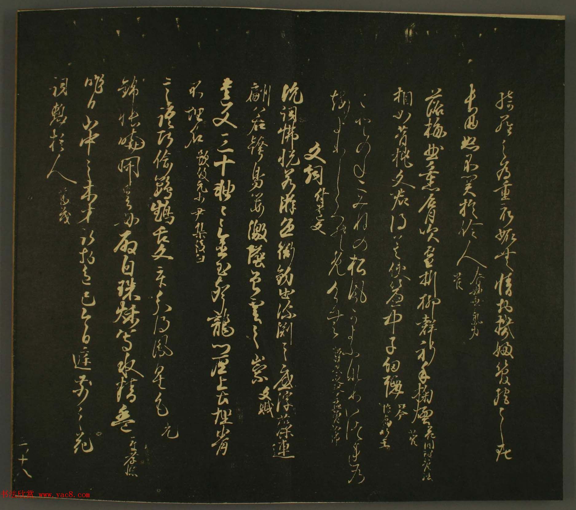 ձо鷨:·鎆