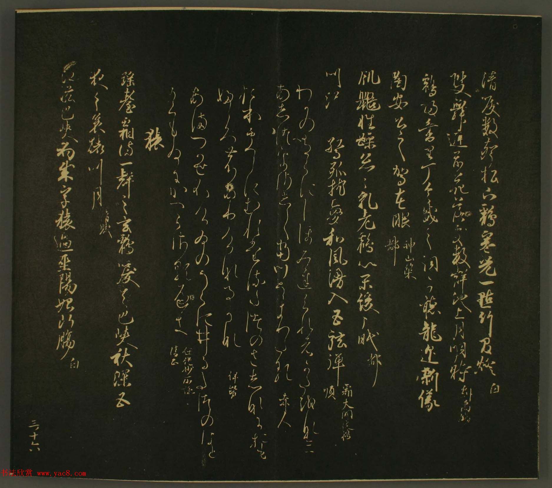 ձо鷨:·鎆