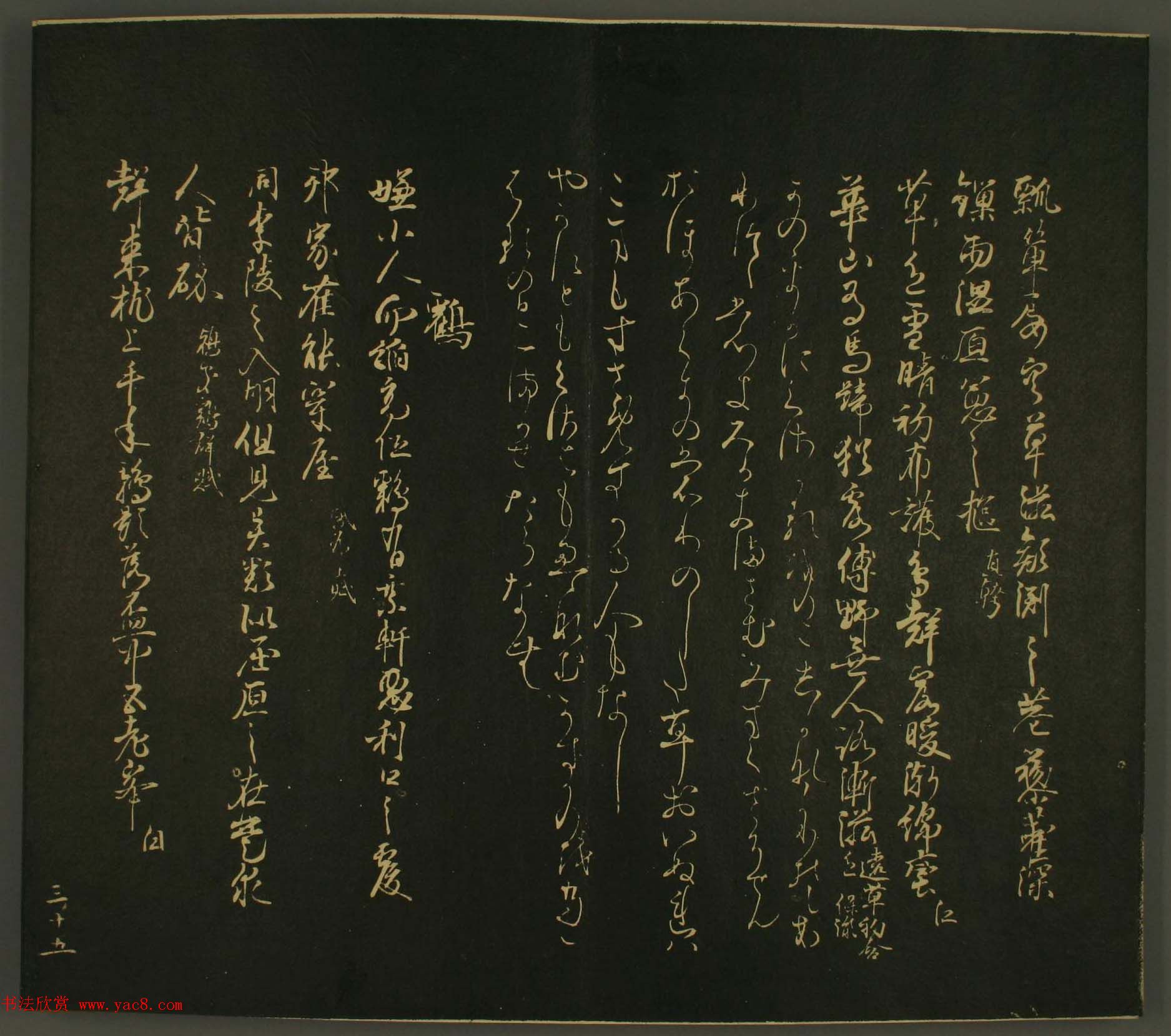 ձо鷨:·鎆