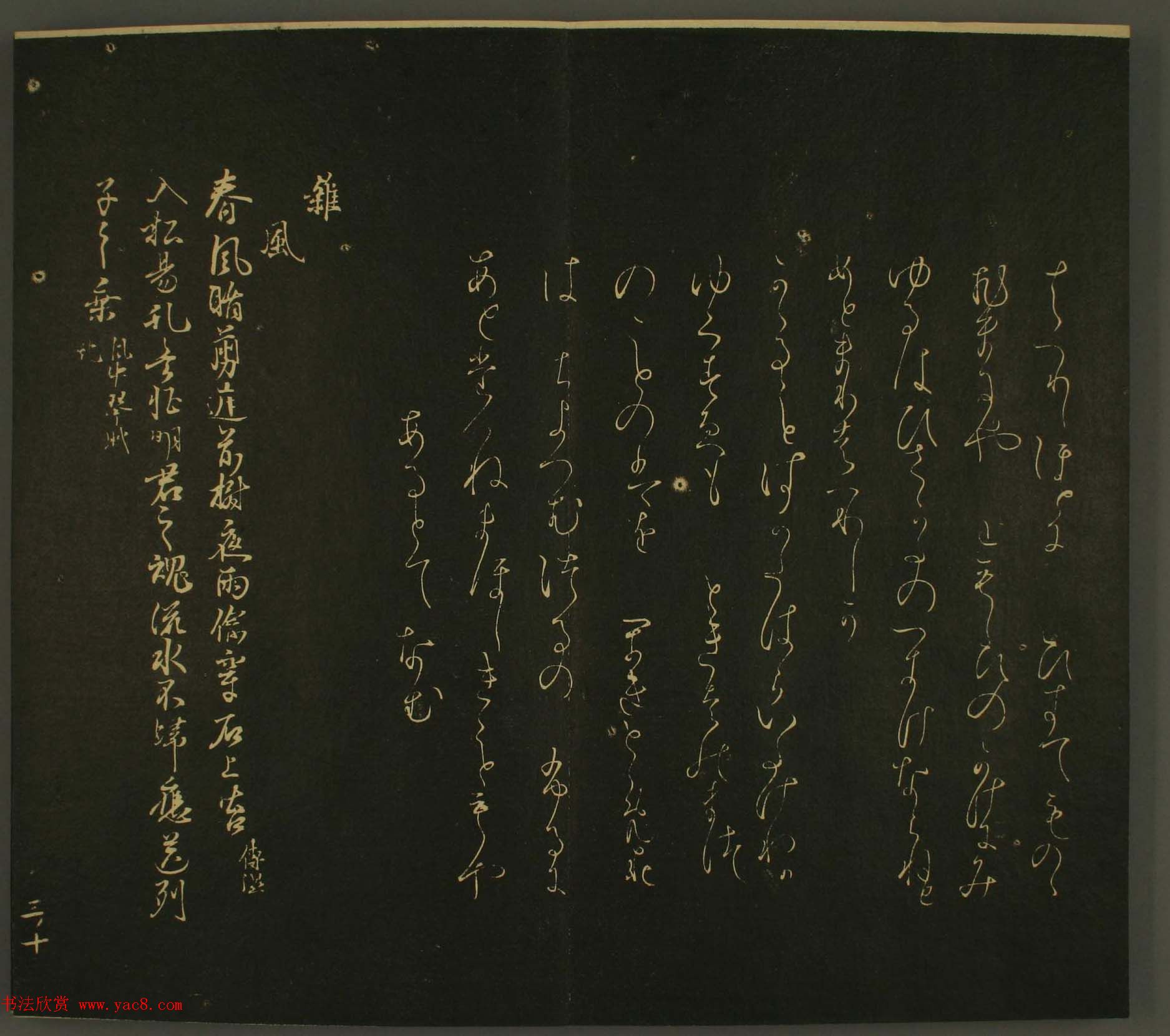 ձо鷨:·鎆