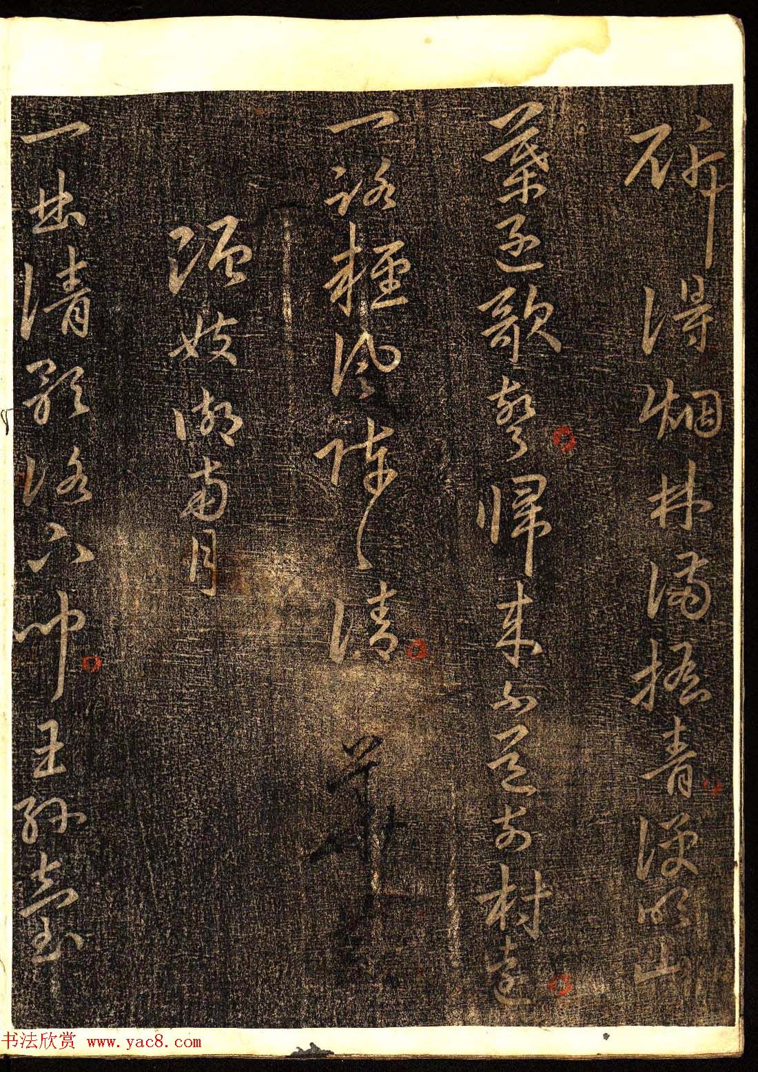 鷨͡Ÿ塷