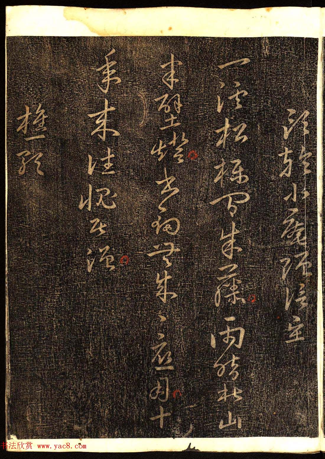 鷨͡Ÿ塷