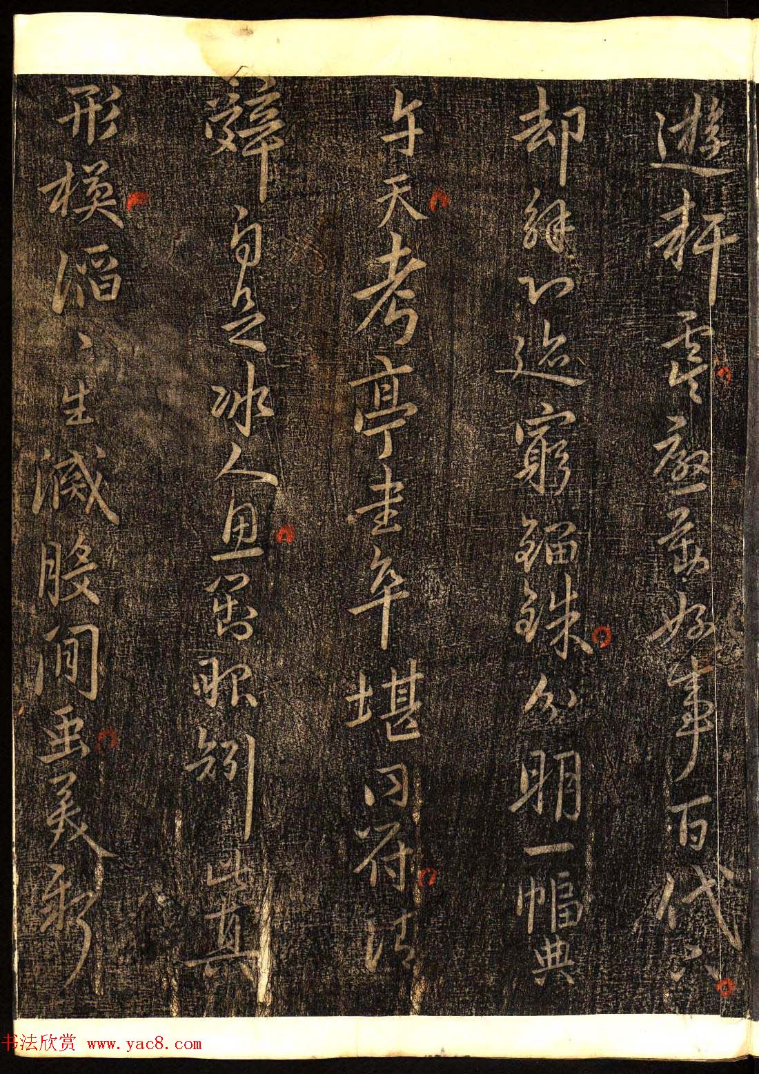 鷨͡Ÿ塷