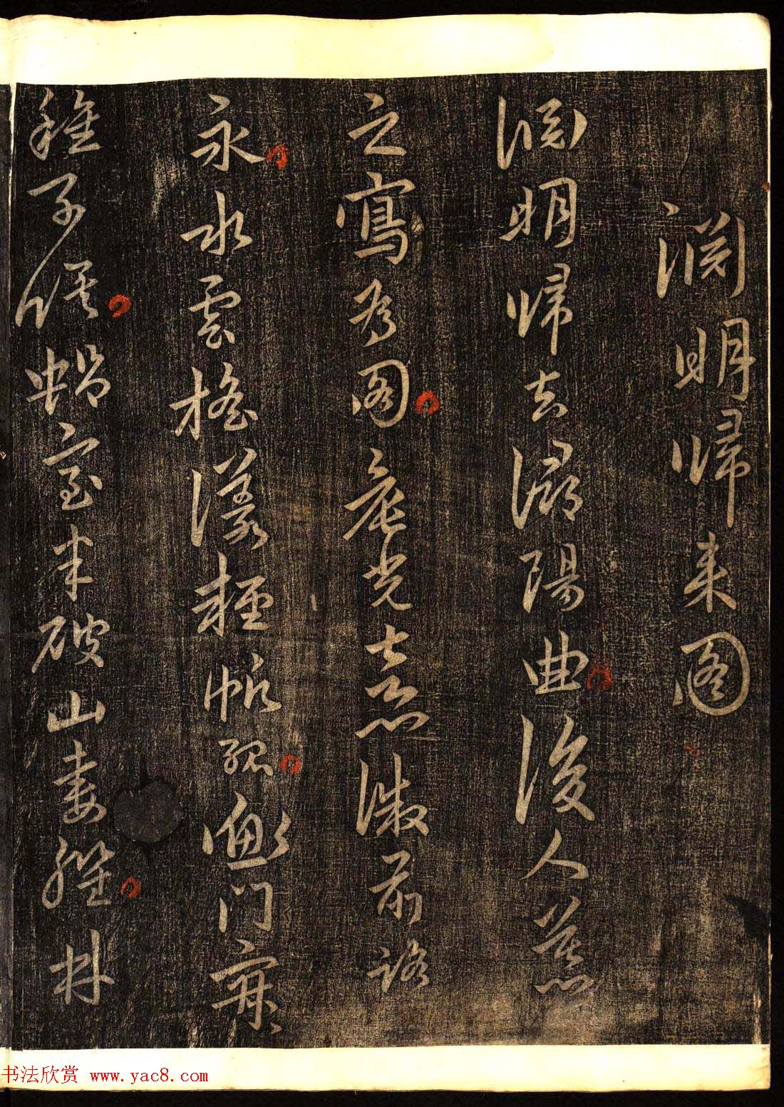 鷨͡Ÿ塷