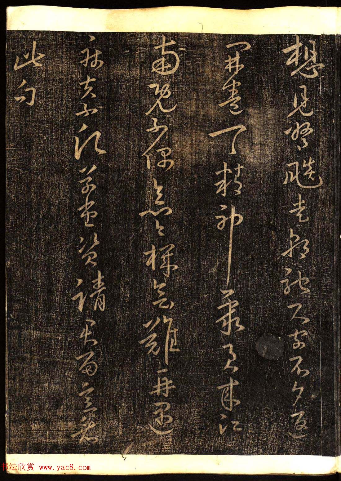 鷨͡Ÿ塷