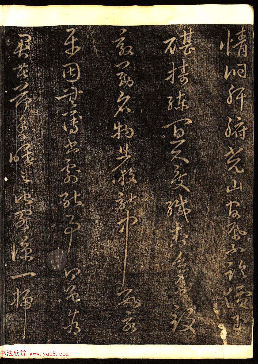鷨͡Ÿ塷
