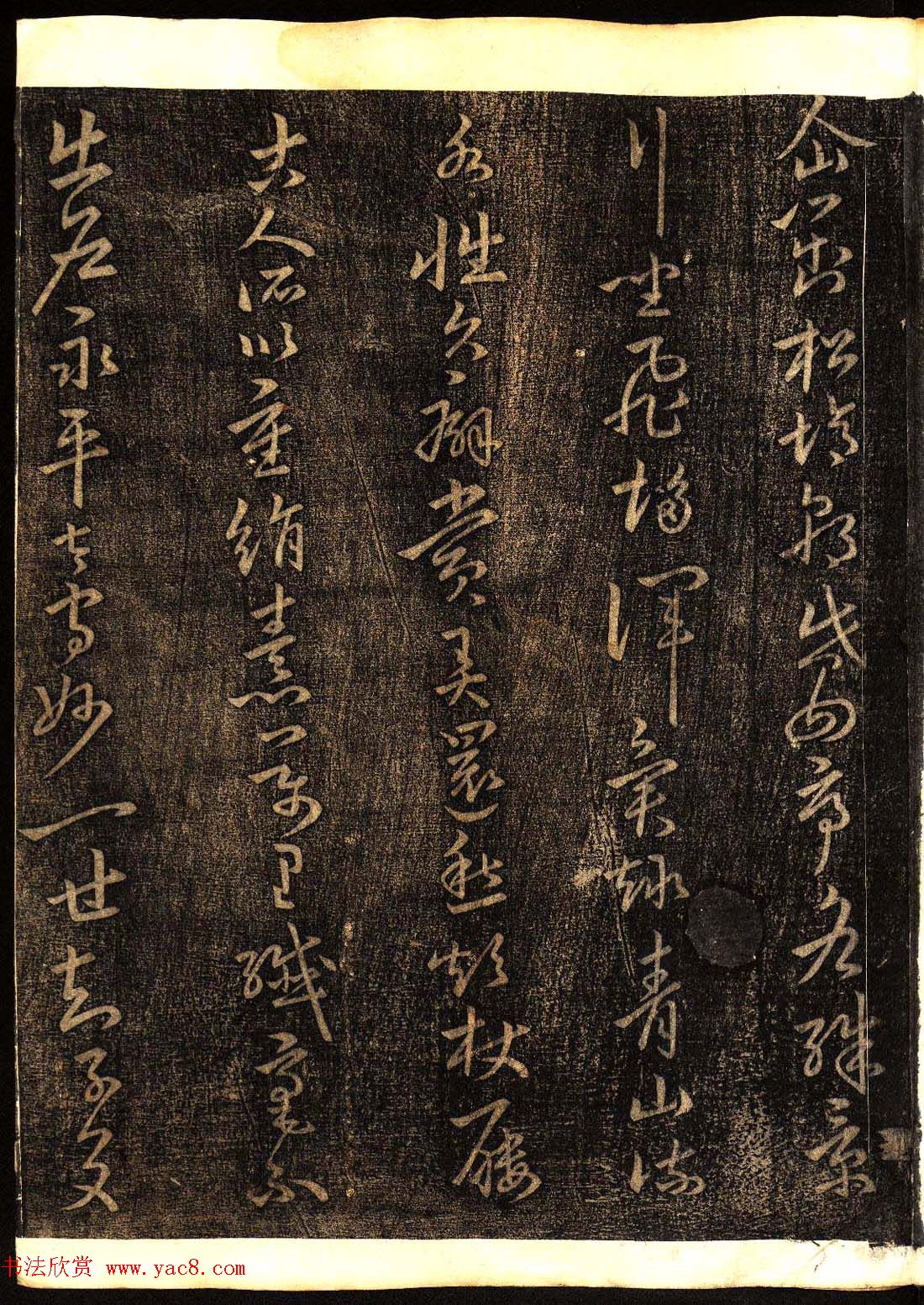 鷨͡Ÿ塷