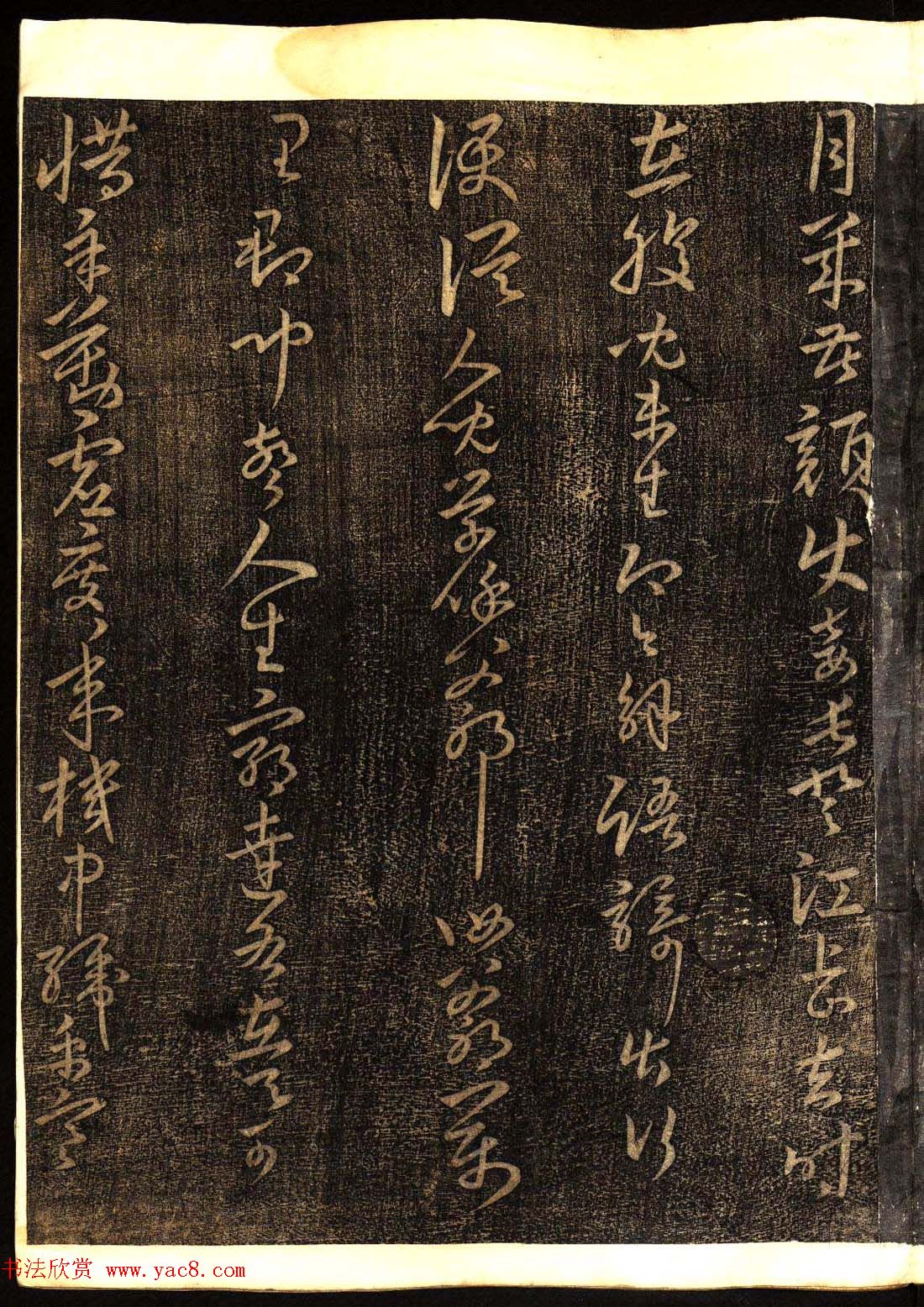 鷨͡Ÿ塷