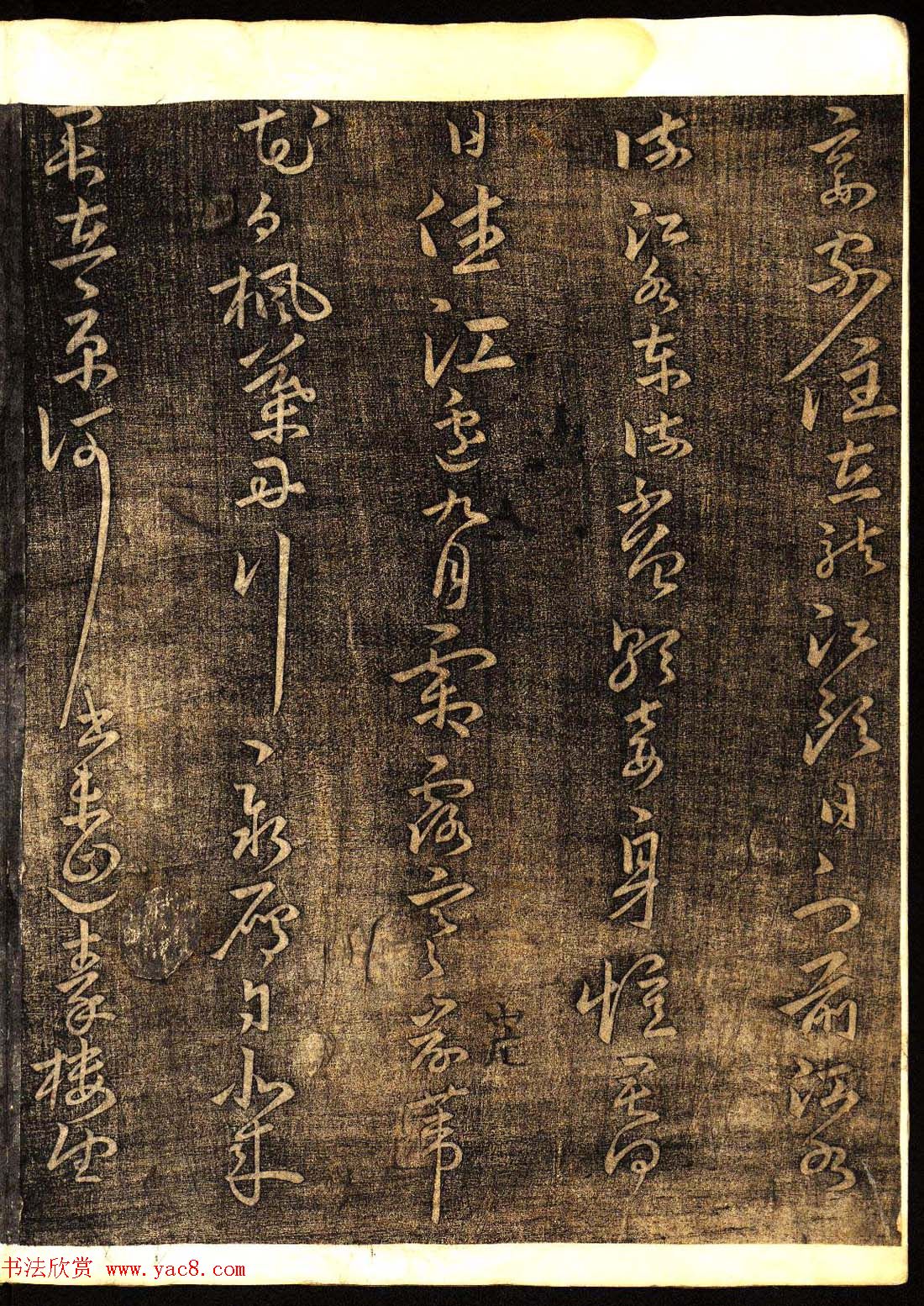 鷨͡Ÿ塷