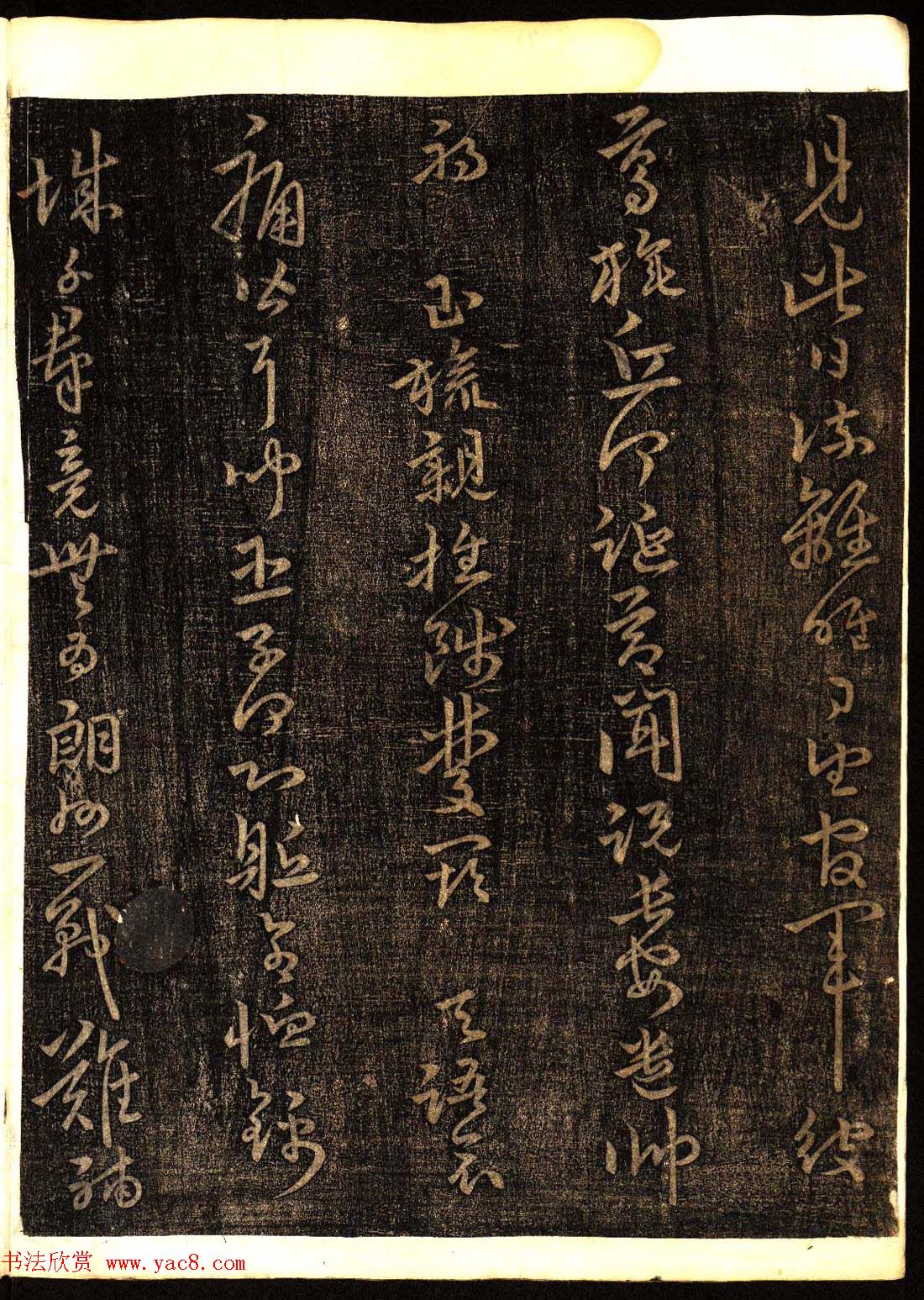 鷨͡Ÿ塷