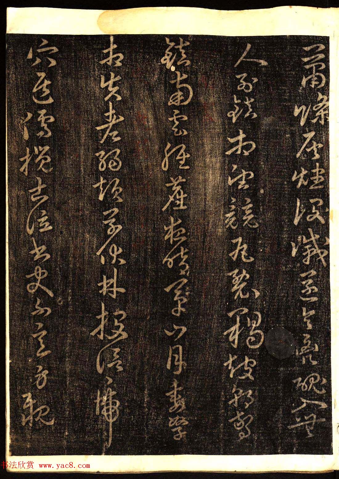 鷨͡Ÿ塷
