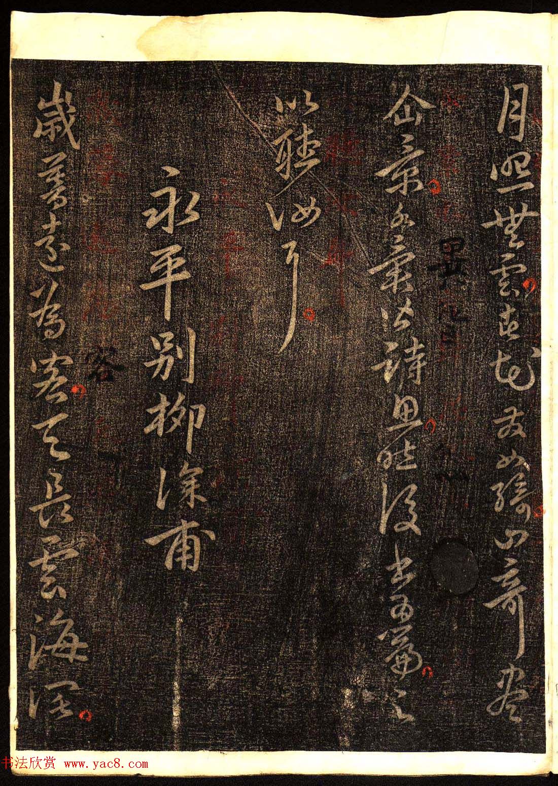 鷨͡Ÿ塷