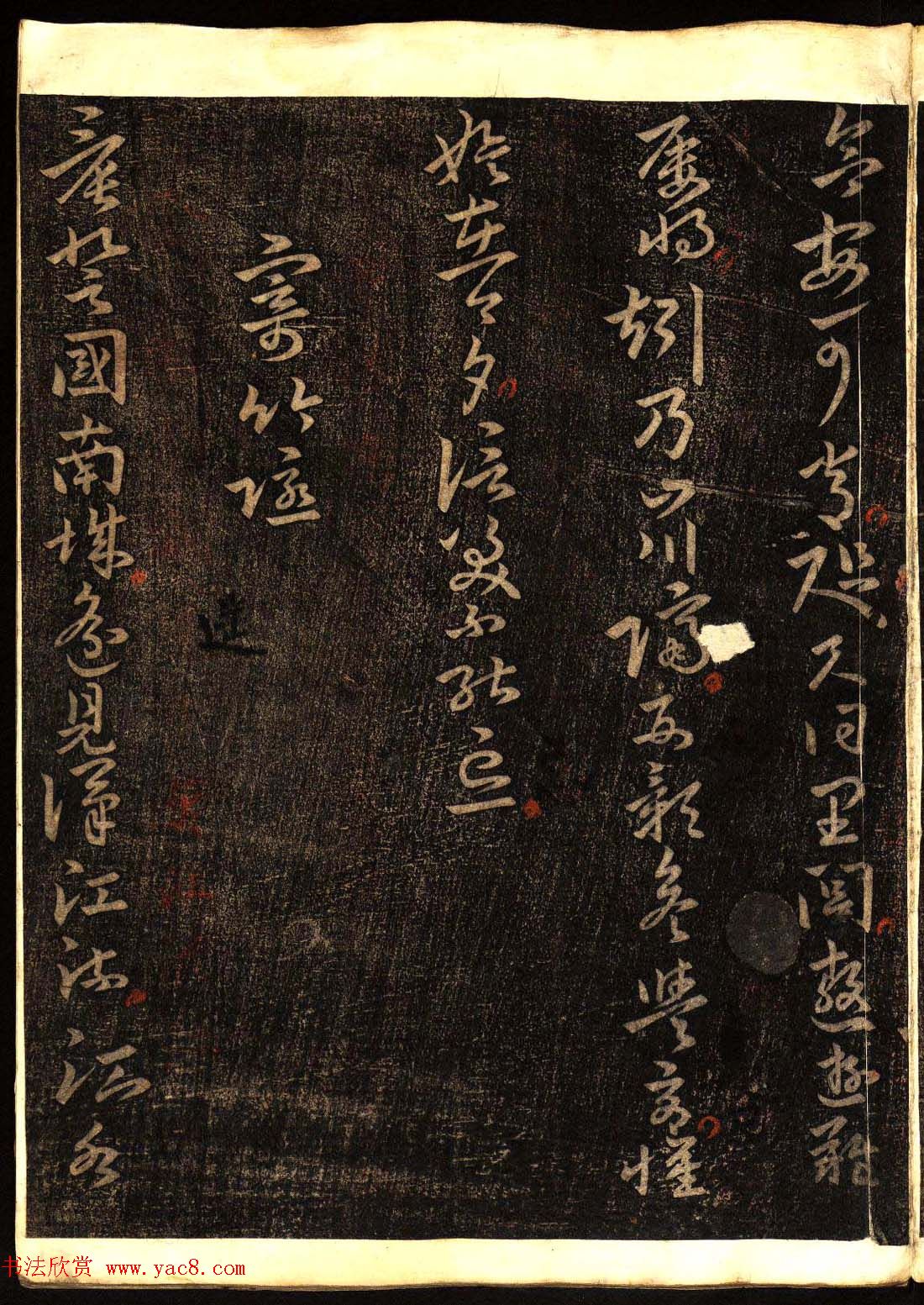 鷨͡Ÿ塷
