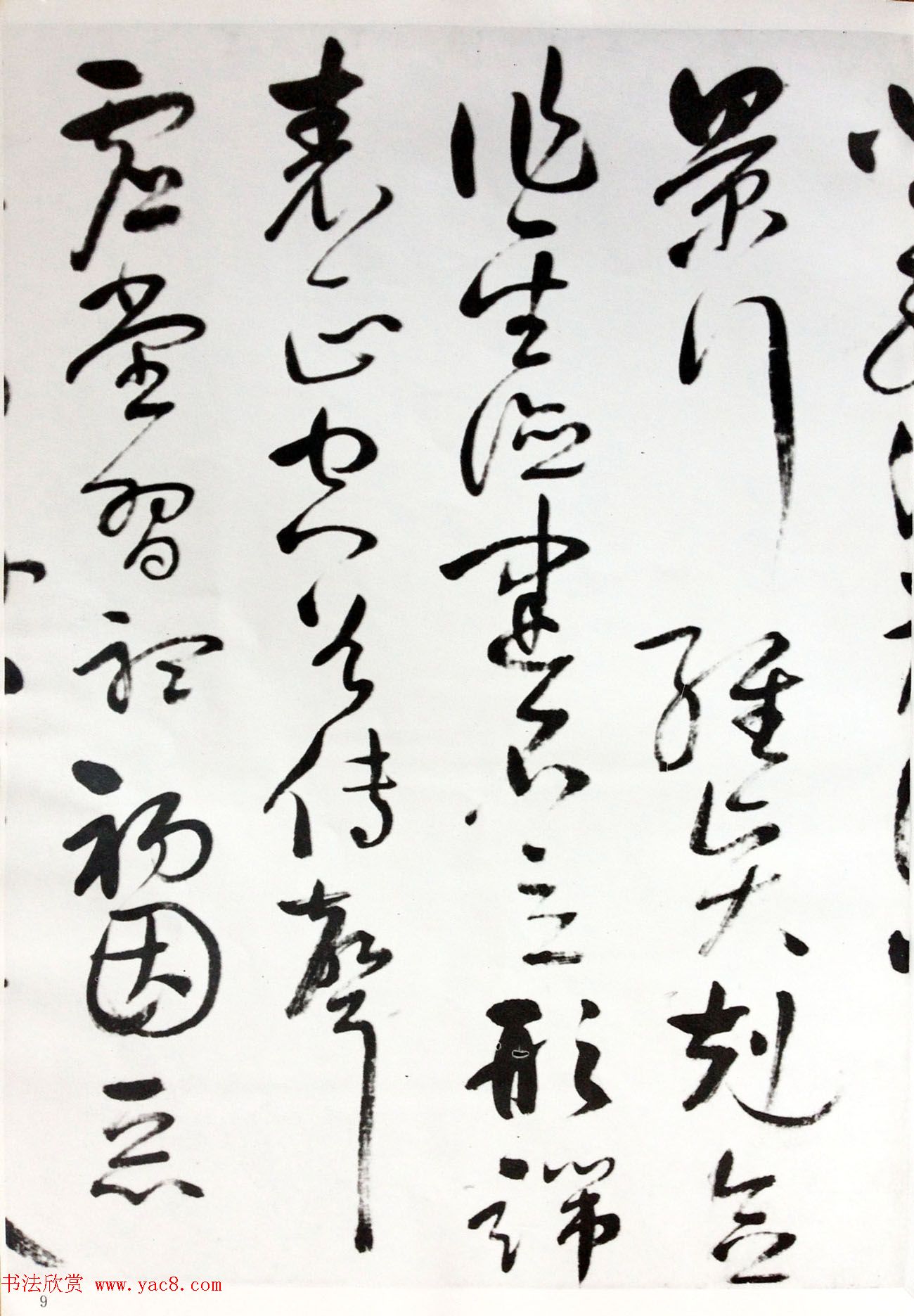 в鷨Ԫfǧġ