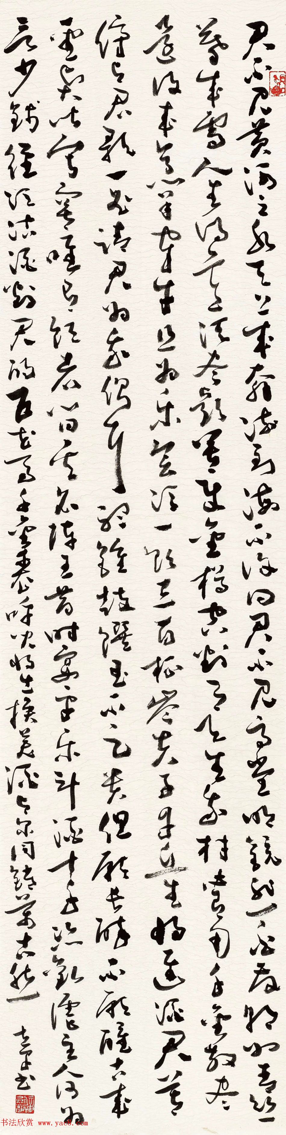 ½²鷨Ʒ