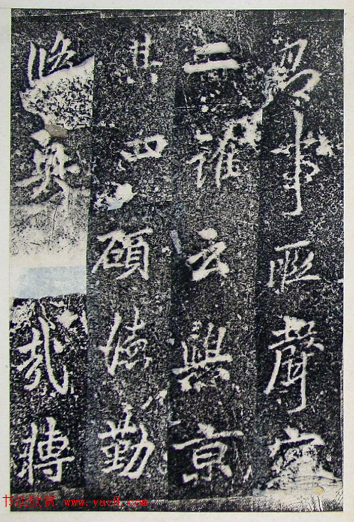 ƴ顶±̲