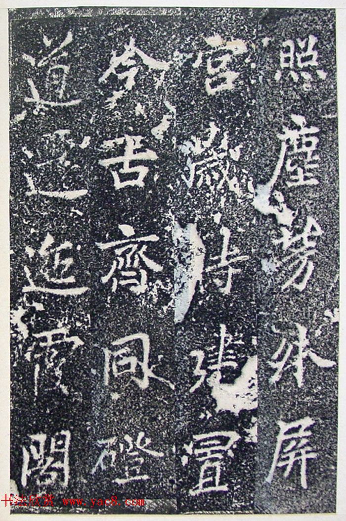 ƴ顶±̲
