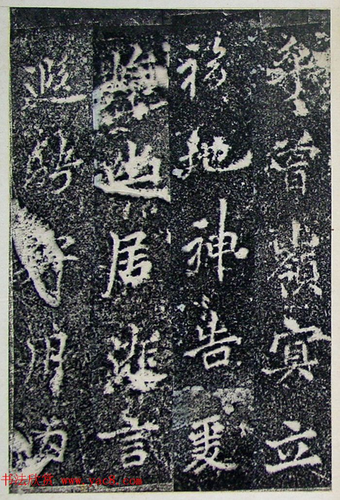 ƴ顶±̲