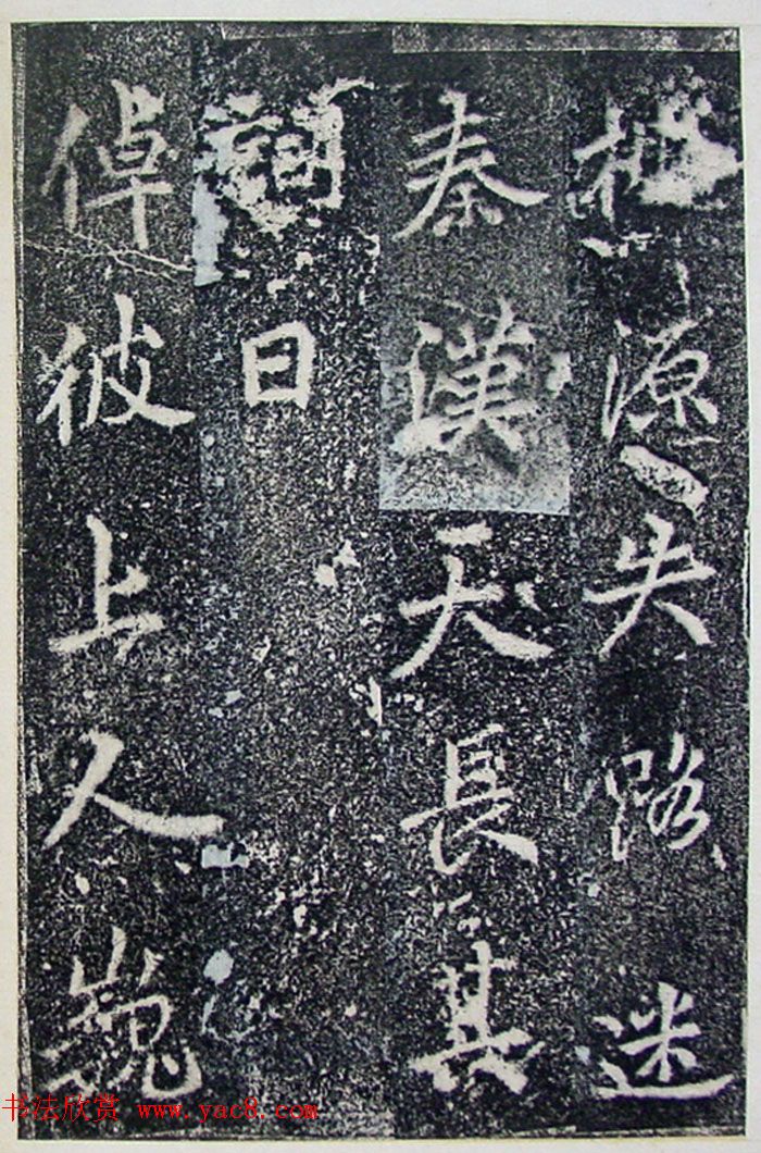 ƴ顶±̲