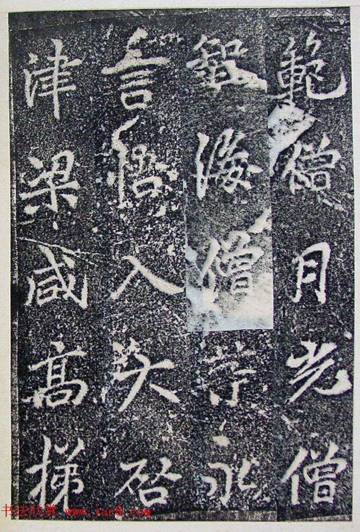 ƴ顶±̲
