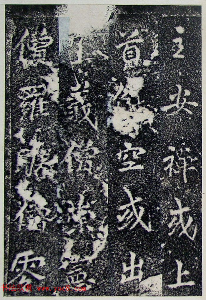 ƴ顶±̲