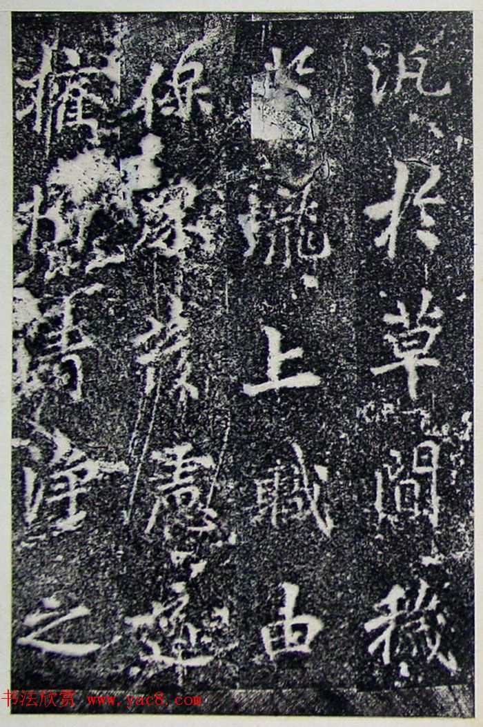 ƴ顶±̲